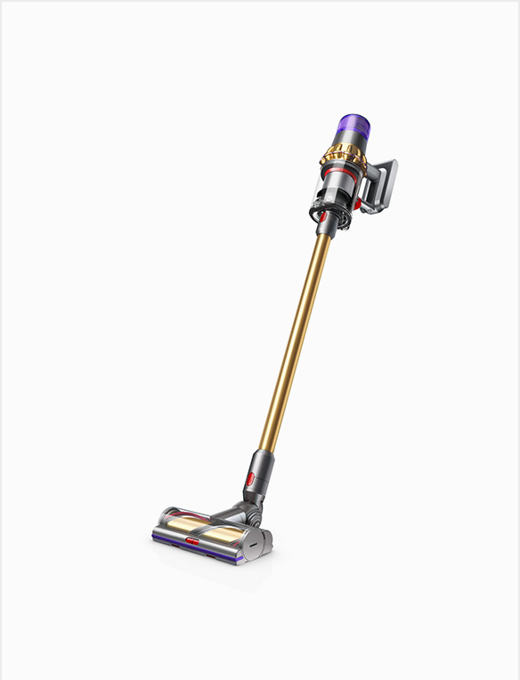 Destek | Dyson V11™