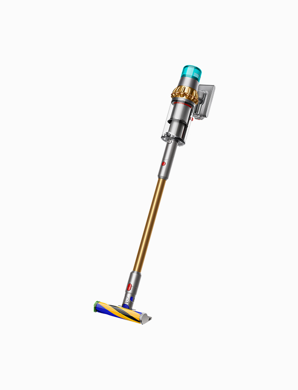 Destek | Dyson V15 Detect™