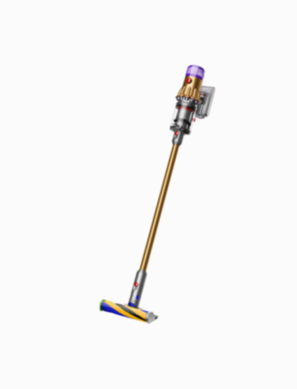 Destek | Dyson V12s Submarine